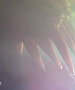 Licker Life-Size Bust By PureArts Resident Evil 2 LIFE SIZED STATUES PROPS