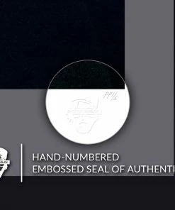 Paul Walker Art Print By Sideshow Collectibles By Renowned Photographer Patrick Hoelck.