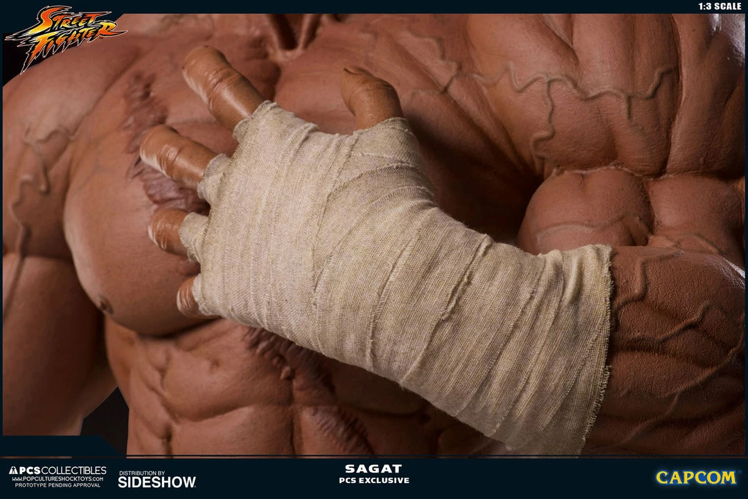 Outlet 𧨠PCS Collectibles Sagat Statue By PCS 1:3 Scale - Street Fighter π 7 PCS Collectibles Sagat Statue By PCS 1:3 Scale - Street Fighter