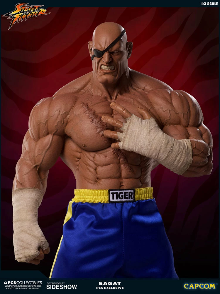 Outlet 𧨠PCS Collectibles Sagat Statue By PCS 1:3 Scale - Street Fighter π 14 PCS Collectibles Sagat Statue By PCS 1:3 Scale - Street Fighter