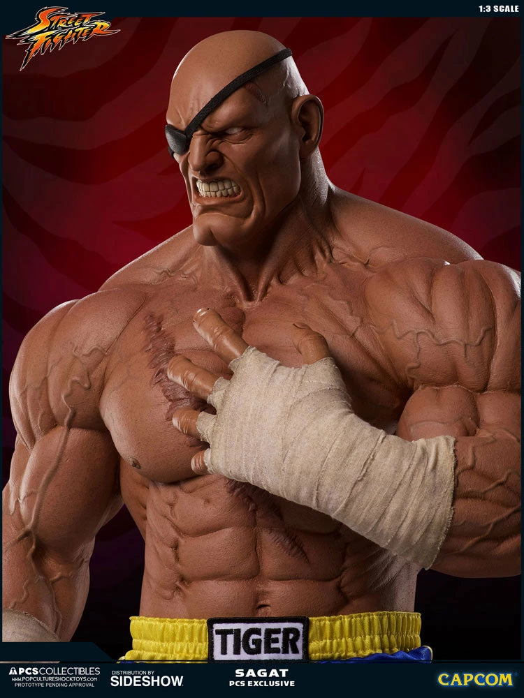 Outlet 𧨠PCS Collectibles Sagat Statue By PCS 1:3 Scale - Street Fighter π 17 PCS Collectibles Sagat Statue By PCS 1:3 Scale - Street Fighter