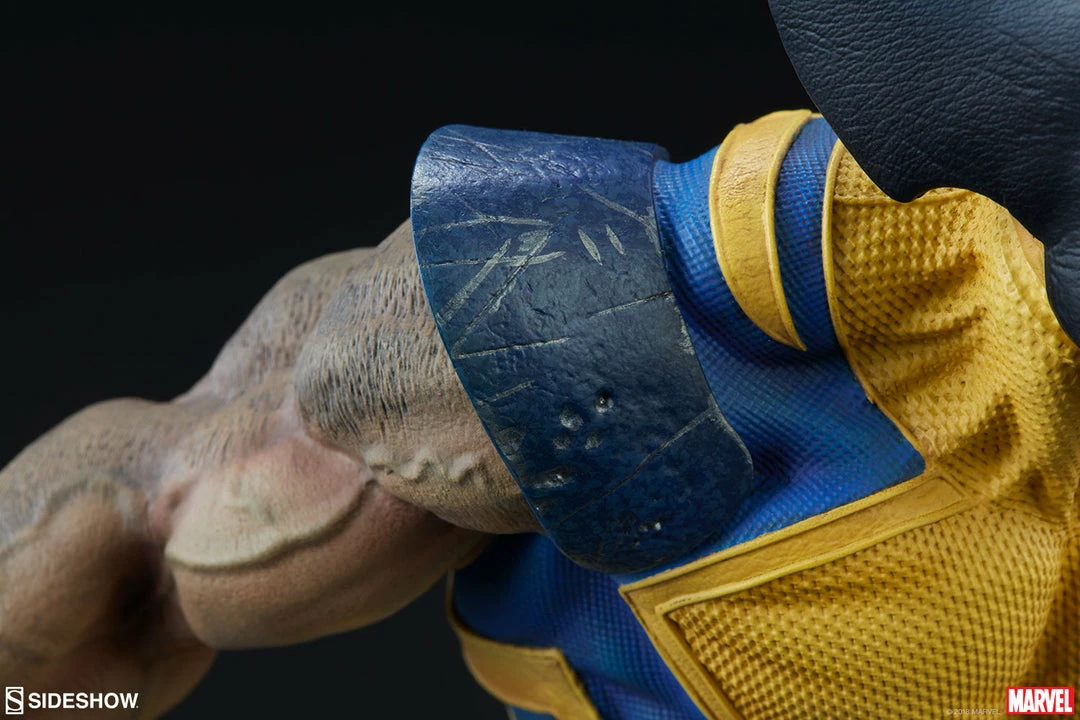 Coupon ✨ Wolverine Premium Format™ Figure By Sideshow Collectibles X-Men 👏 19 Wolverine Premium Format™ Figure By Sideshow Collectibles X-Men