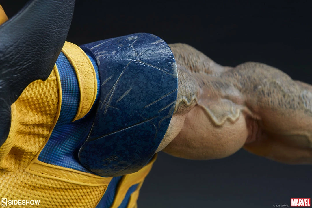 Coupon ✨ Wolverine Premium Format™ Figure By Sideshow Collectibles X-Men 👏 17 Wolverine Premium Format™ Figure By Sideshow Collectibles X-Men